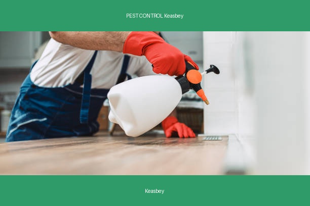 PEST CONTROL Keasbey